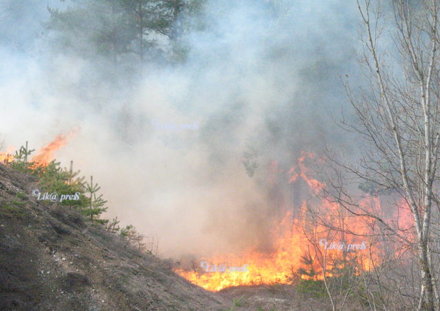 Najčešći su požari na otvorenom/ © Arhiva Lika pressa Gospić                                                                                                                                                                                              