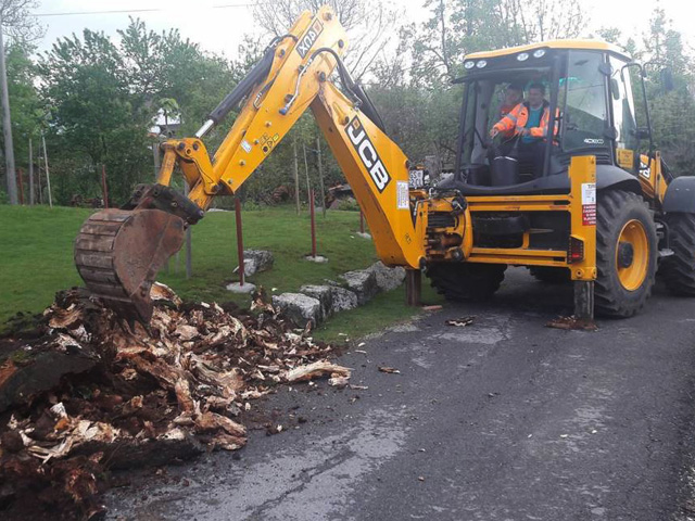 Radnici Lika cesta uklanjaju truli panj u Ličkom Novom                                                                                                                                                                                                    