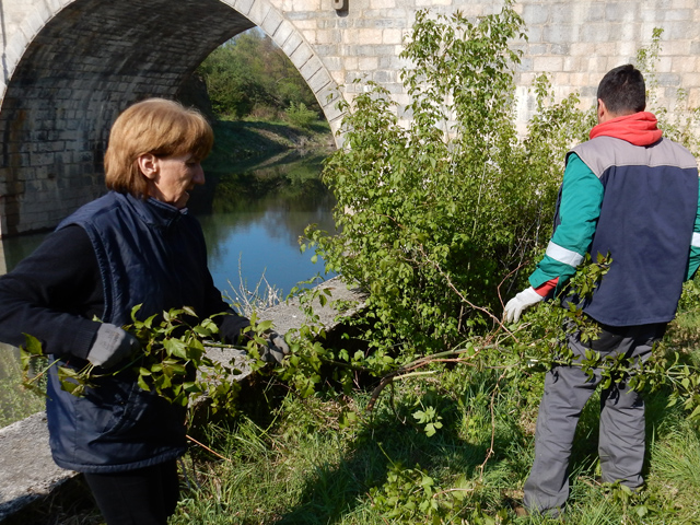 Sječa naraslog divljeg grmlja kod Starog mosta na Novčici                                                                                                                                                                                                 