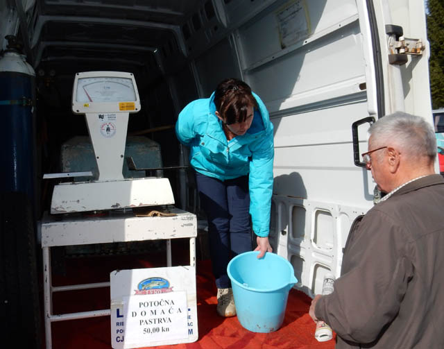 Prodaja pastrve iz kamiona/Foto Lika press                                                                                                                                                                                                                