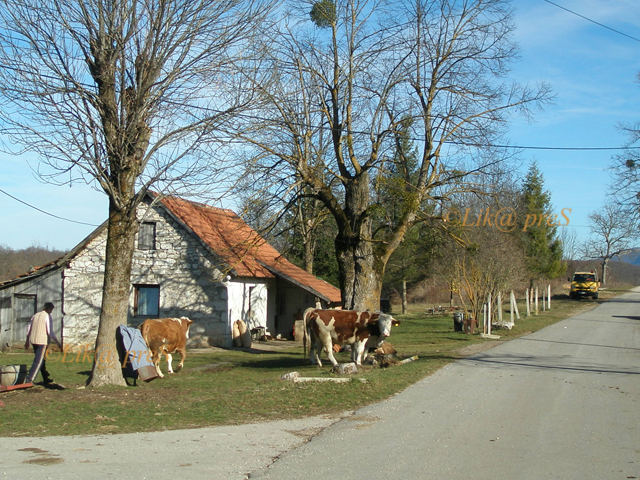 Središte Boričevca/Arhiva Lika pressa Gospić