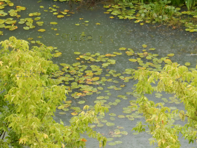 Zamućena Novčica nakon benta od gospićke kanalizacije koja ide u Podgorje i Rap te na Pag                                                                                                                                                                 