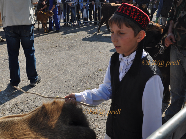Mladi su garancija opstanka tradicijskog načina života u Lici                                                                                                                                                                                             