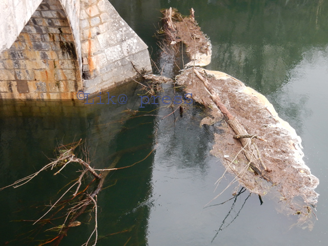 Vrbe u Novčici kod Starog mosta/Snimio Marko ČULJAT                                                                                                                                                                                                       