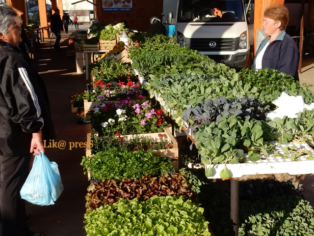 Štand OPG-a Matak s prisadom
                                                                                                                                                                                                                            