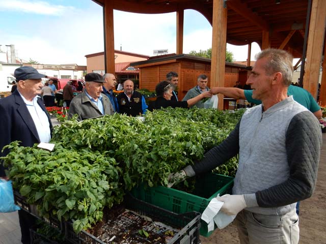 Josip Ćorluka na štandu sa svojim prisadnicama                                                                                                                                                                                                            