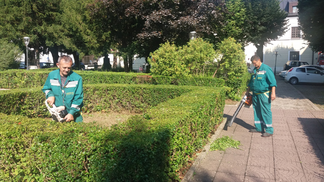 Uređivanje živice na Trgu A. Stepinca u Gospiću                                                                                                                                                                                                           