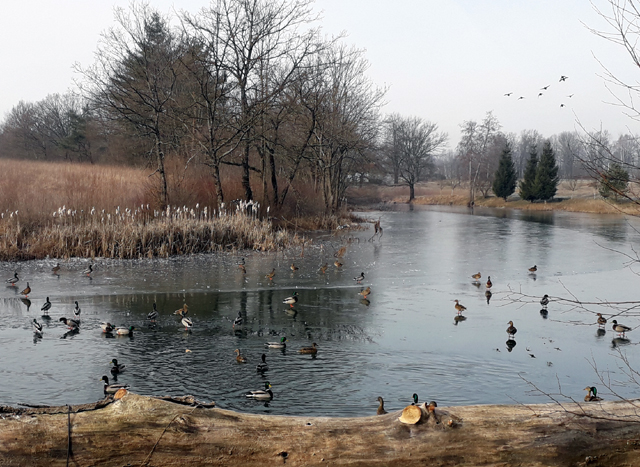 Manje jato dolazi iz pravca Šarić gaja/Snimio Tomislav ČANIĆ                                                                                                                                                                                              
