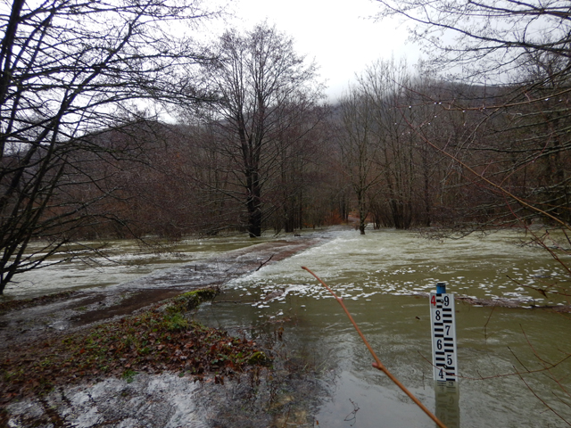 Ričica je danas kod Josetinog mosta izgledala kao Sava/Snimi Mile Tomičić, Ričice                                                                                                                                                                         
