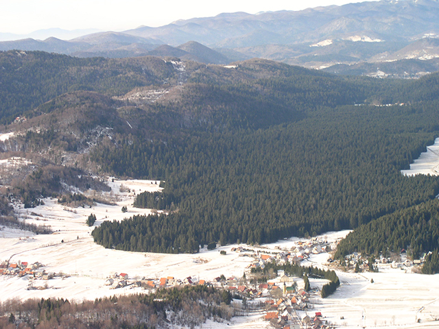 Slika Sunger-Zemljišna zajednica Sungerski lug koja se prostire na 162 ha i sa kojom od 1963 upravlja Šumarski fakultet iz Zagreba, od koje Sunger nema nikakv financijske i materijalne koristi.                                                         