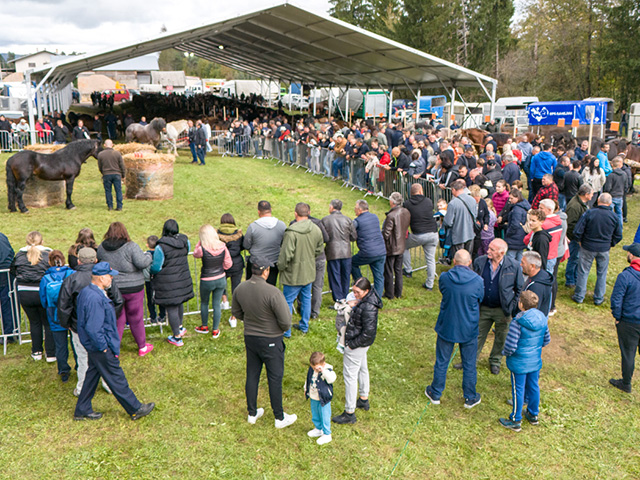 Detalj s izložbe konja u Gospiću                                                                                                                                                                                                                          