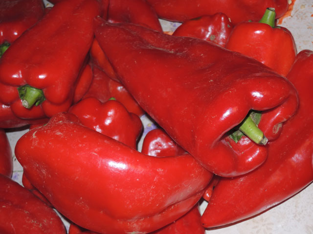 Vlastita ajvaruša za ajvar OPG-a Majetić iz Gospića/Snimio Marko Čuljat                                                                                                                                                                                   