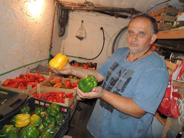 Darko sa svojim paprikama koje zore u konobi/Snimio Marko ČULJAT                                                                                                                                                                                          