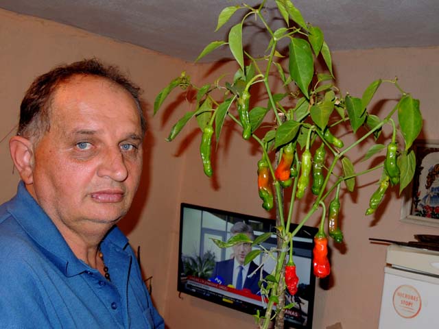 Darko sa svojim čili papričicama penisom u petnjaku/Snimio Marko Čuljat                                                                                                                                                                                   